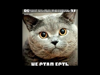 «Со стены друга» под музыку Лучшие друзья НаВеКи!!!!!!!!!!!!!!!! Ульяна и Мария - Егор,Лёша,Илья,Варя Артём,Ксюша,Лиза,Полина,Саша,Маша,Настя,Паша,Тима,Уля,Дима,Катя,Оля,Зоя....вы все самые лучшие и я вас очень сильно люблю***))))эта песня про вас, мои дорогие....я вас лю..**))). Picrolla
